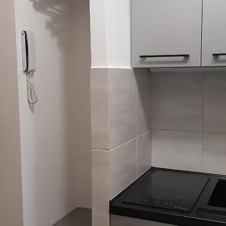 Apartment Arena Studio Gliwice